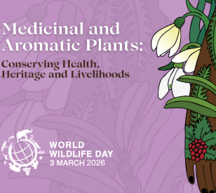 World Wildlife Day 2026   Cover