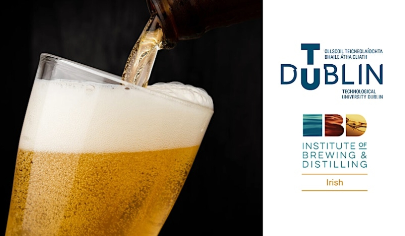 Beer event main