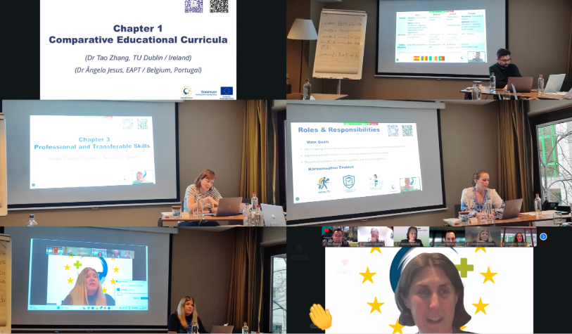 Final Erasmus - Pic 2 Main