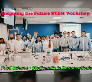 Image for STEM Workshop