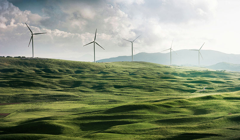 Image of windmills in a field against blue sky