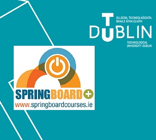 Image for Springboard+ funded courses in Mathematics & Statistics