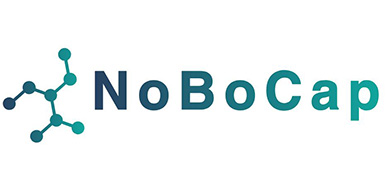 Image for NoBoCap
