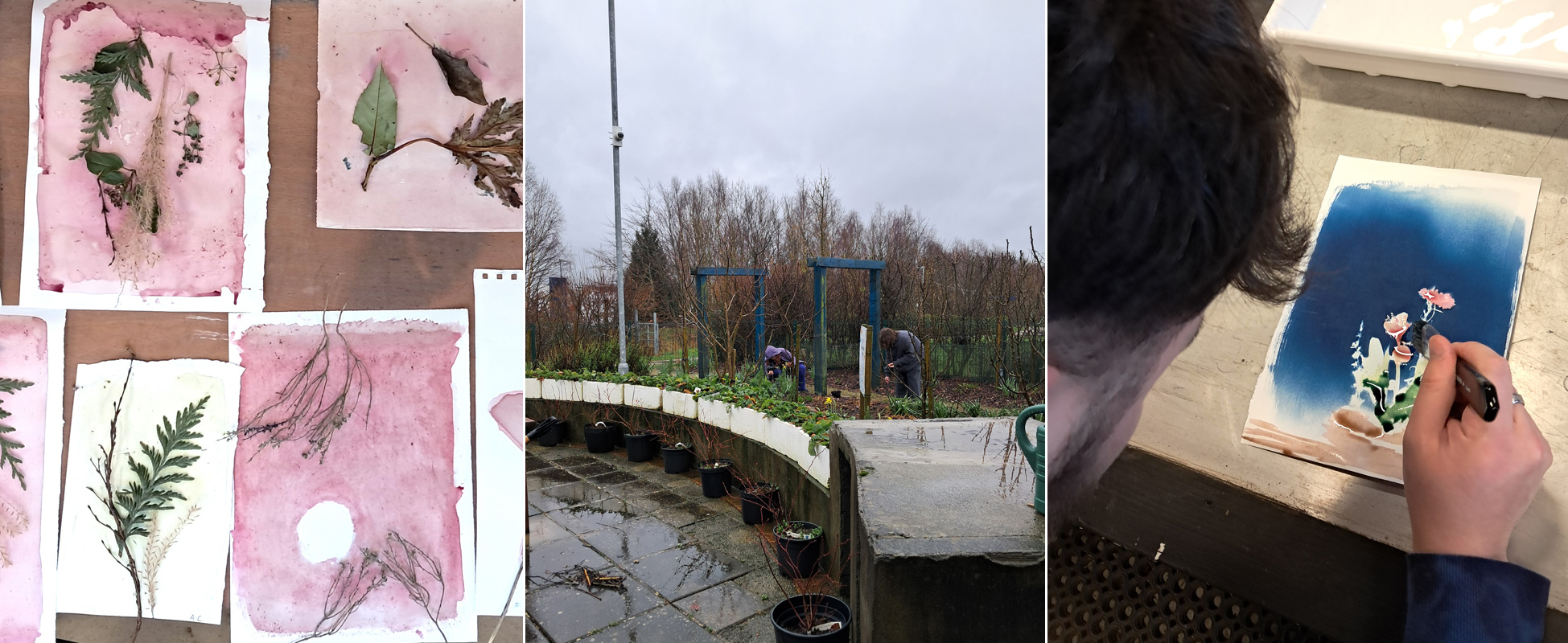 sustainability garden