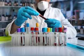 Image for Microbiology