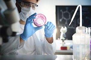 Image for Microbiology