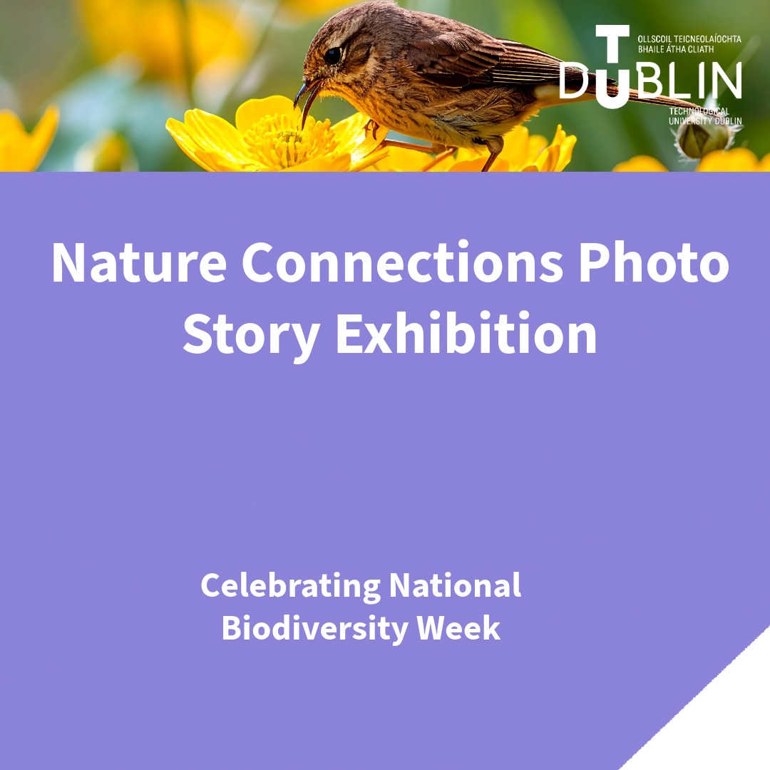Poster for Nature Connections Photo Story Exhibition