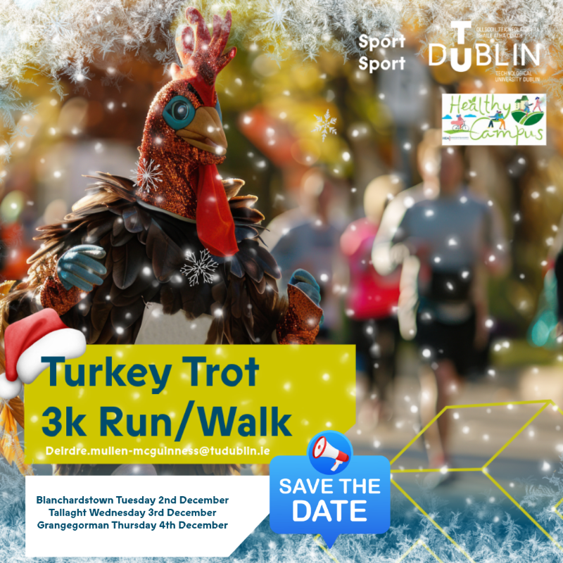turkey trot 2025 poster