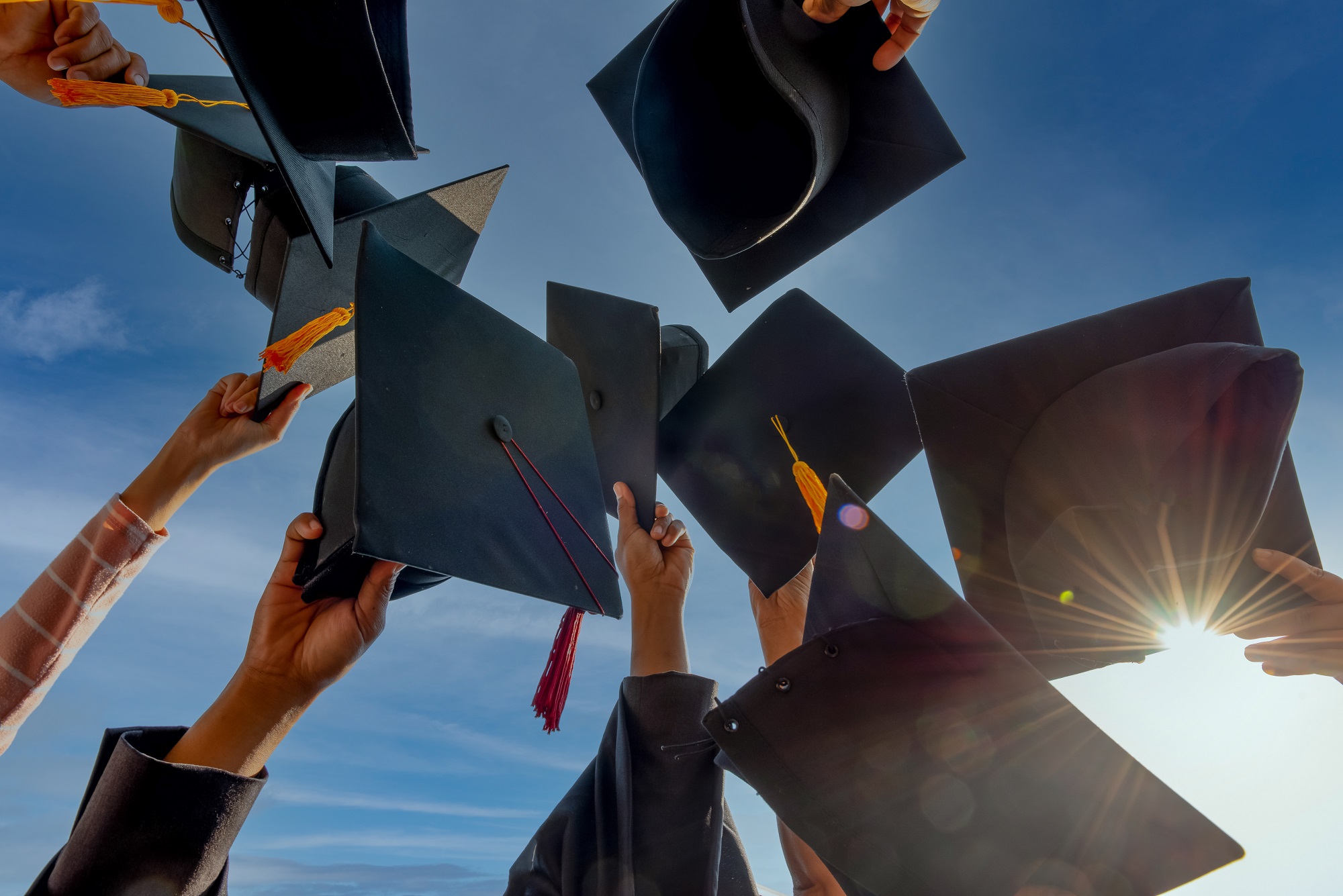 Image for School of Biological, Health, and Sports Sciences Prize Winners 2022