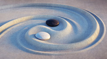 Image for Balance your thinking course - Togehterall