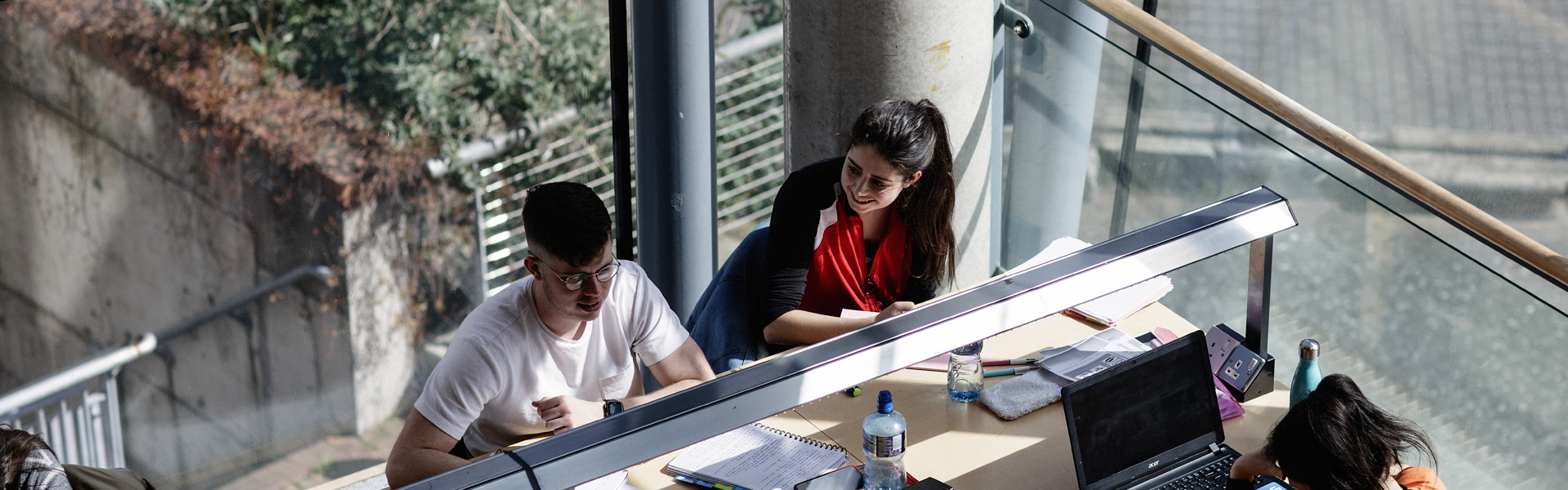 Students studying in library