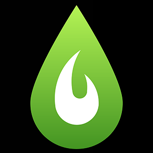 Green and white flame LibKey logo