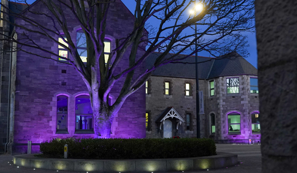Purple light at night on Grangegorman building