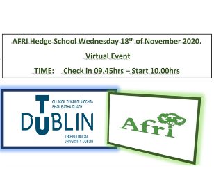 Image for Afri Hedge School 2020