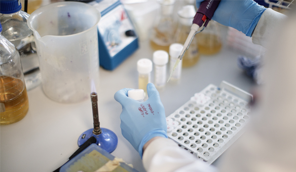 Students working in a lab