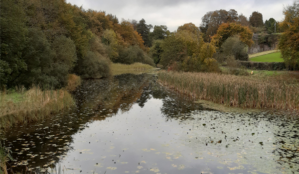 Heywood Gardens