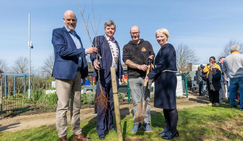 A group of people plant a tree