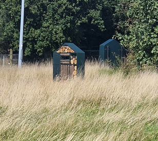 Image for TU Dublin Students Design and Build Sustainable 'Bug Hotels' in Industry Partnership with MEDITE SMARTPLY