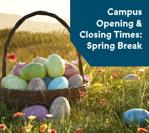 A basket of pastel-colored eggs sits in a grassy field with orange flowers. Text reads, 