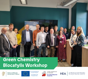 WP5 Green Workshop.png