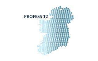 Image for PROFESS 12 logo