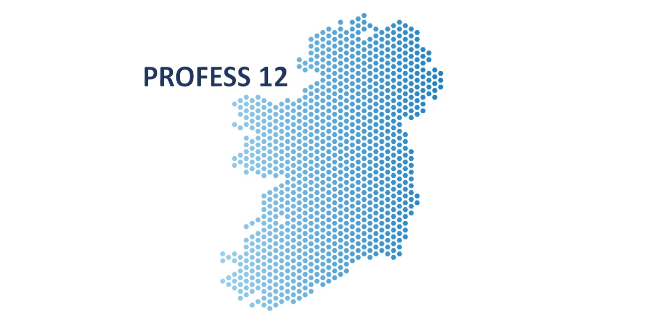 image for Launch of PROFESS 12 project