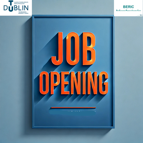 Image for [CLOSED] Candidate Brief for Research Fellow to the Irish Building Stock Observatory