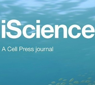 Image for AI&rsquo;s Assigned Gender Affects Human-AI Cooperation