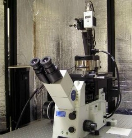 Asylum MFP-3D-BIO Atomic Force Microscope