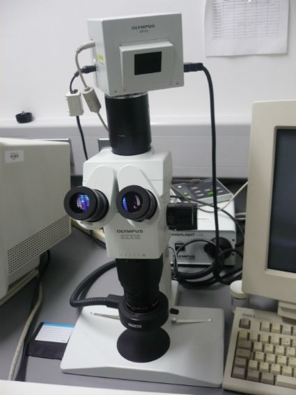 Olympus SZX-ZB12 Research Stereo Microscope