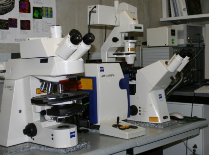 Zeiss LSM 510 Confocal Laser Scanning Microscope