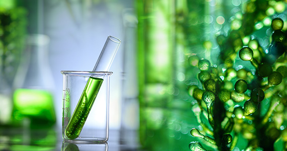 Green Chemistry experiment in a laboratory