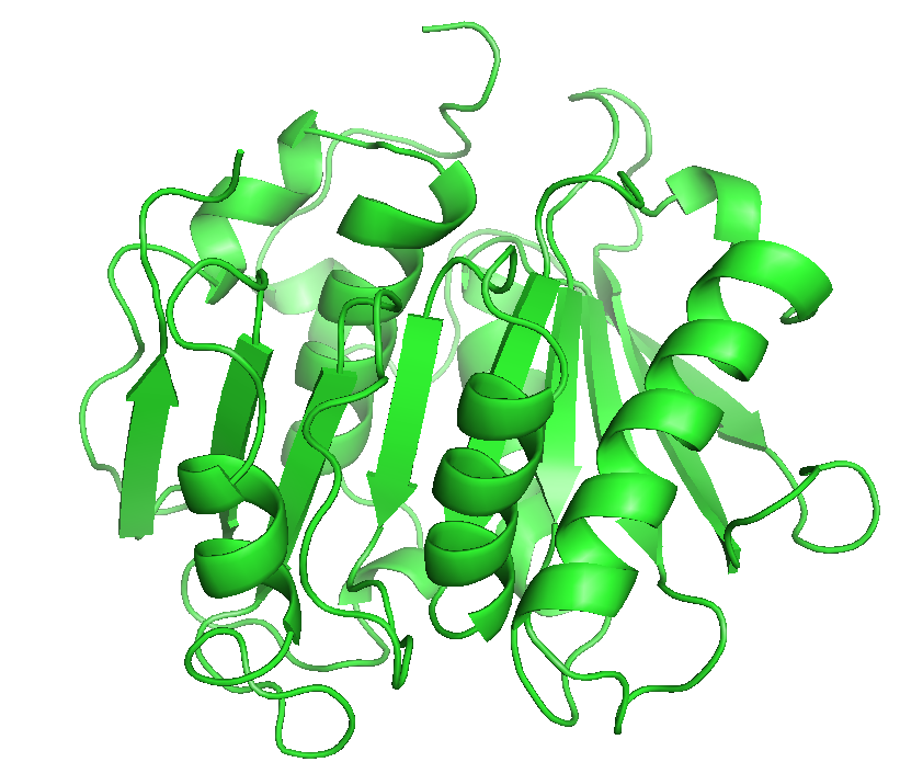 Image for Logo