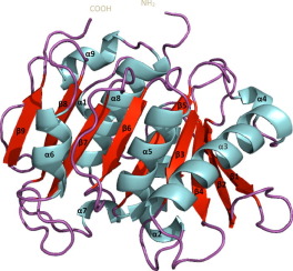 Image for Lab3