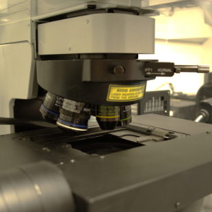 Confocal Microscope Biological Box