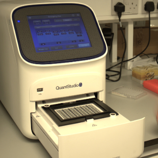 Micro Box_PCR image open