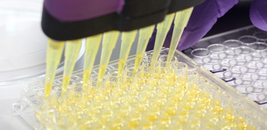 Image for MiCRA-Biodiagnostics