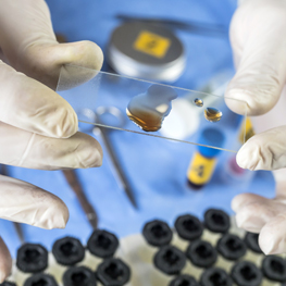 Image for Materials Science
