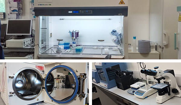 class II biosafety lab facilities
