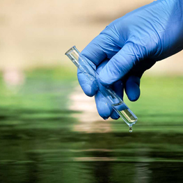 Image for Microbiological Assay Development
