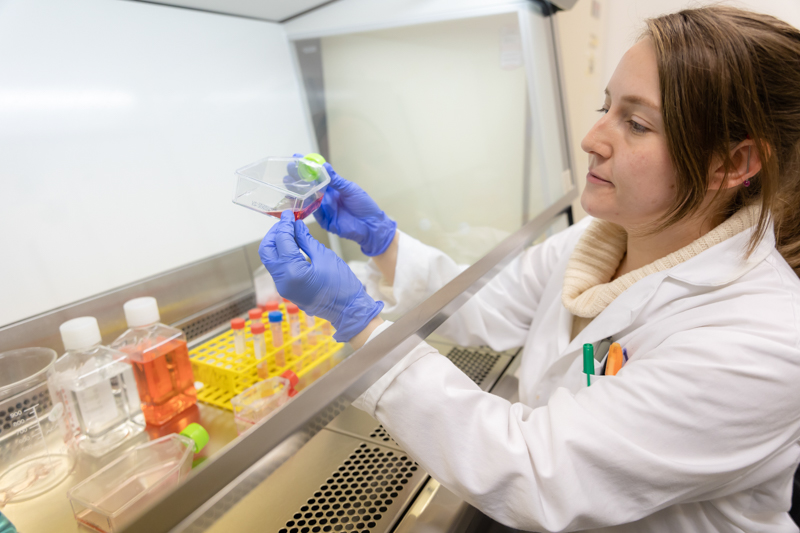A student working in a cell culture lab