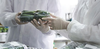 Image for Centre for Sustainable Packaging and Bioproducts (CSPB)