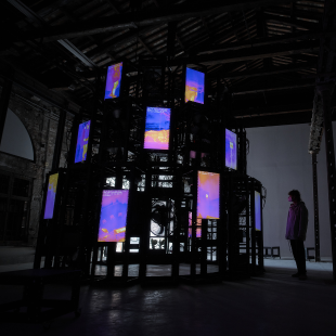 Image for Entanglement