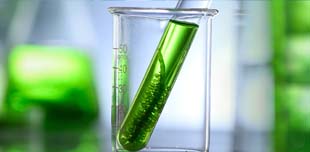 Researchers working in a laboratory with scientific equipment, representing green chemistry and biotechnology research.