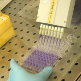 Image for Biochemistry & Cell Culture /​ Bioengineering Labs​
