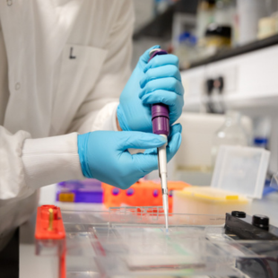 Image for Microbiology Labs / Microbiology Class II Labs
