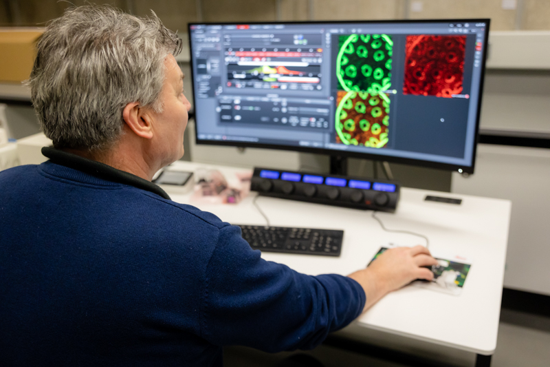 Image for Leica Multimodal Imaging Platform installed in Research Hub 2