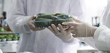 Image for Centre for Sustainable Packaging and Bioproducts