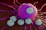 T-cells attacking cancer cell illustration of microscopic image
