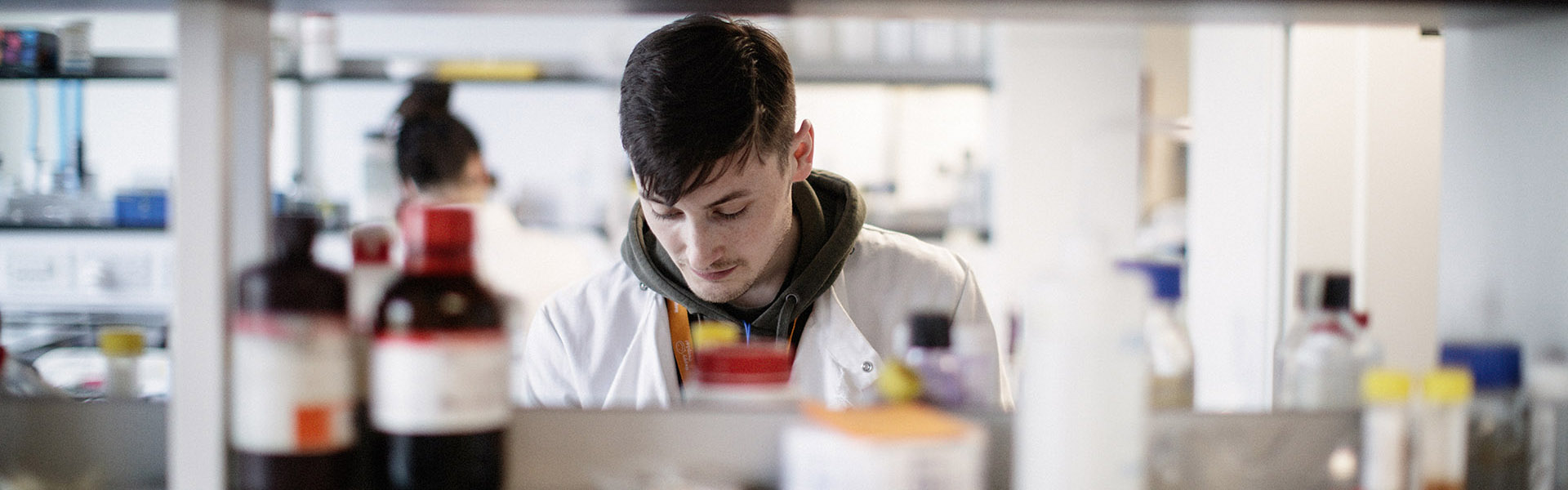 Students studying in a lab